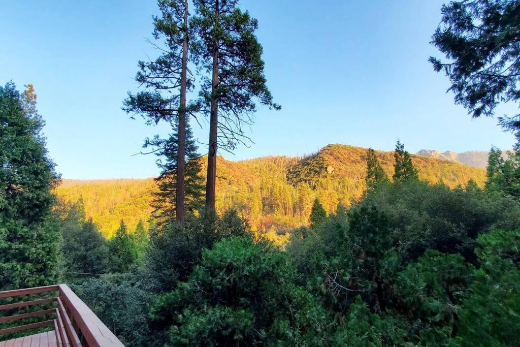 Redwood Retreat, Mountains, Adventure And Nature Ponderosa Екстер'єр фото