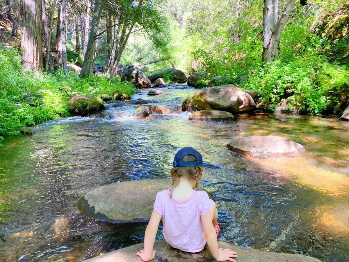 Redwood Retreat, Mountains, Adventure And Nature Ponderosa Екстер'єр фото