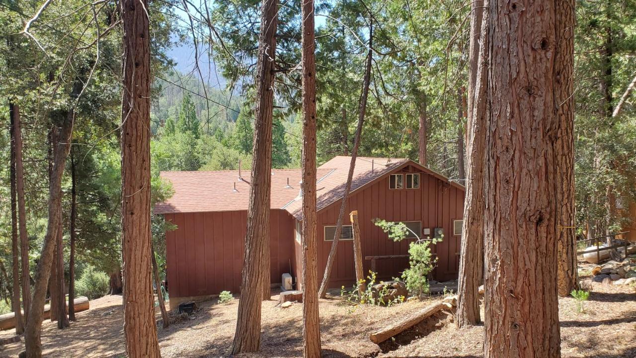 Redwood Retreat, Mountains, Adventure And Nature Ponderosa Екстер'єр фото