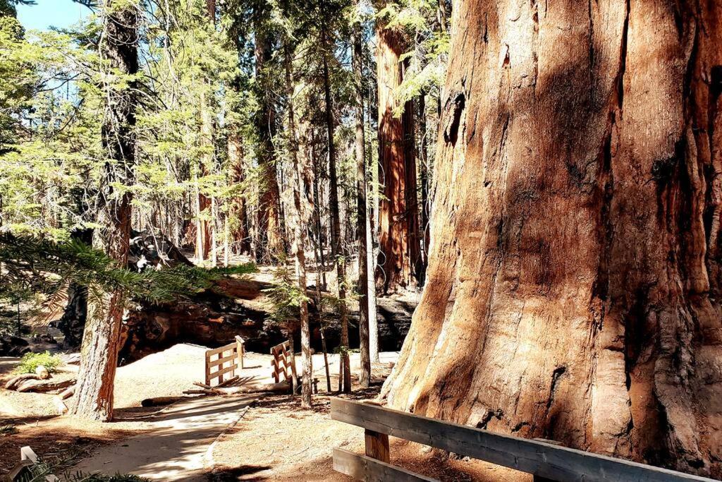 Redwood Retreat, Mountains, Adventure And Nature Ponderosa Екстер'єр фото