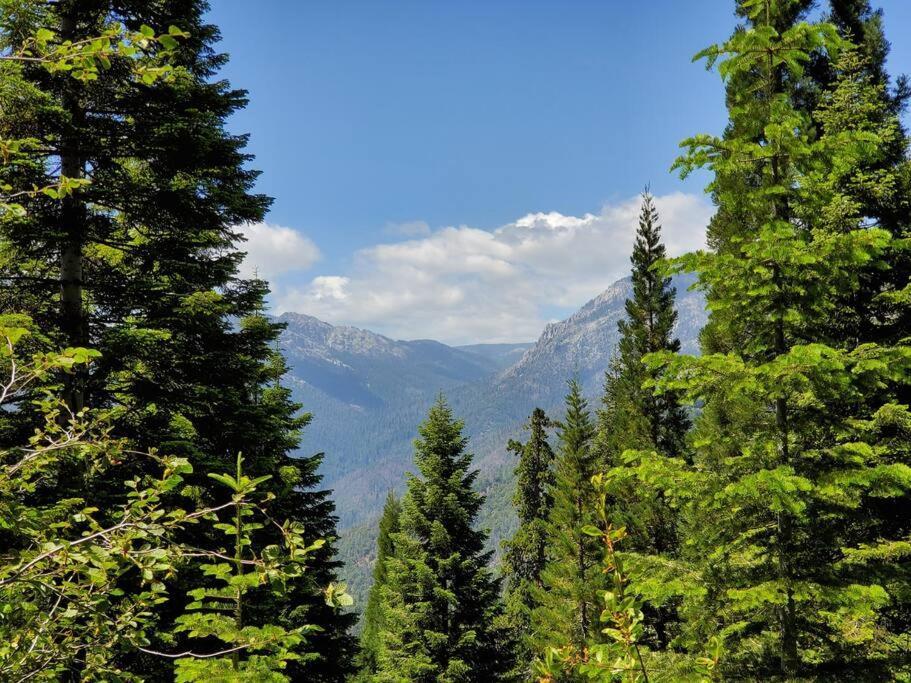 Redwood Retreat, Mountains, Adventure And Nature Ponderosa Екстер'єр фото