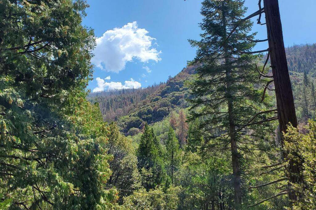 Redwood Retreat, Mountains, Adventure And Nature Ponderosa Екстер'єр фото