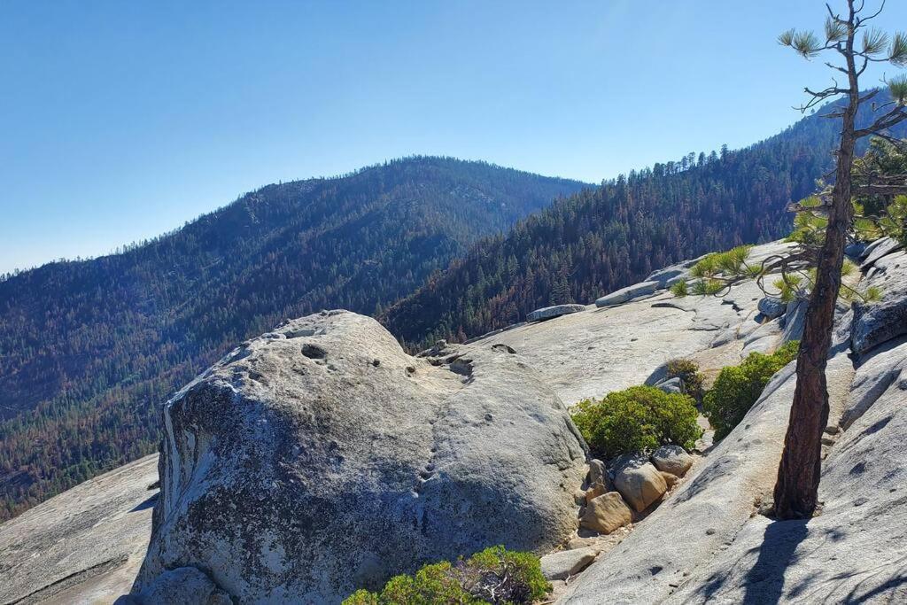 Redwood Retreat, Mountains, Adventure And Nature Ponderosa Екстер'єр фото