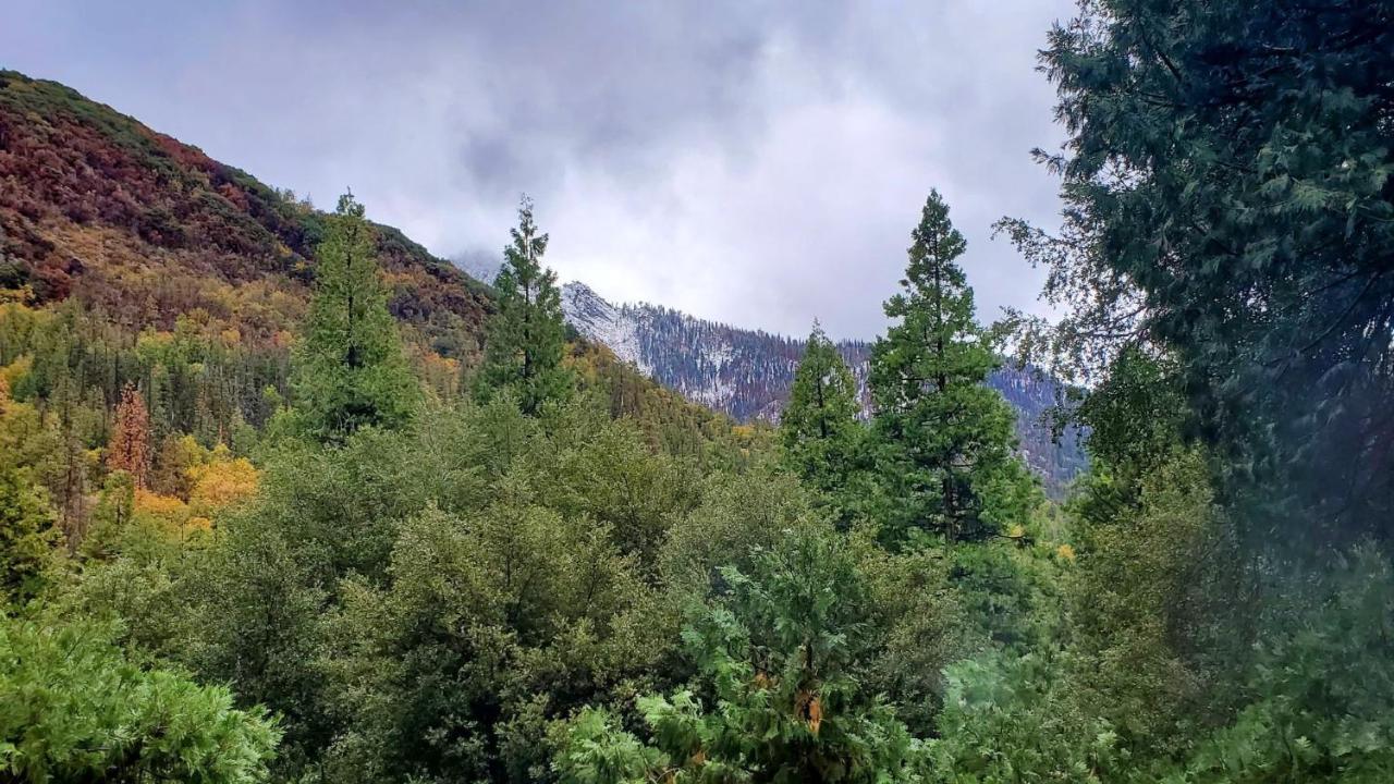 Redwood Retreat, Mountains, Adventure And Nature Ponderosa Екстер'єр фото