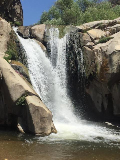 Redwood Retreat, Mountains, Adventure And Nature Ponderosa Екстер'єр фото