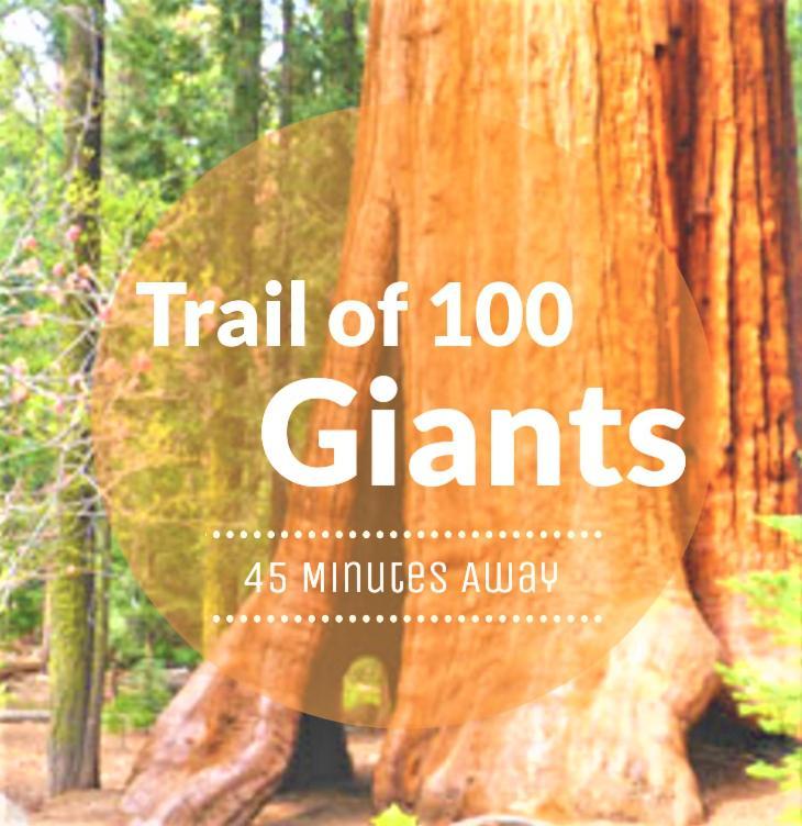 Redwood Retreat, Mountains, Adventure And Nature Ponderosa Екстер'єр фото