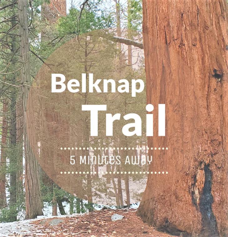 Redwood Retreat, Mountains, Adventure And Nature Ponderosa Екстер'єр фото