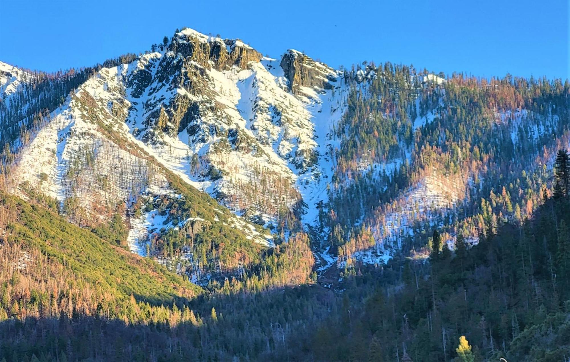 Redwood Retreat, Mountains, Adventure And Nature Ponderosa Екстер'єр фото